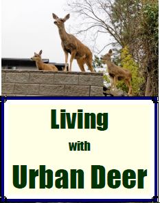 Living with Deer Brochure