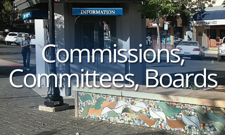 Commissions, Committees, Board
