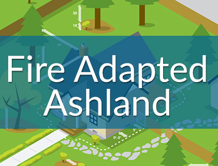 Fore Adapted Ashland